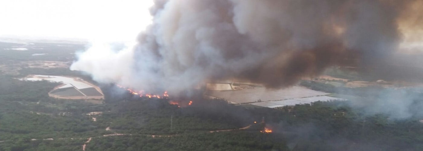El incendio se ha originado en el paraje La Peñuela en el termino municipal de Moguer.
