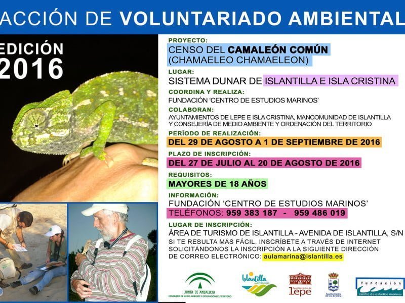 Voluntariado 2016
