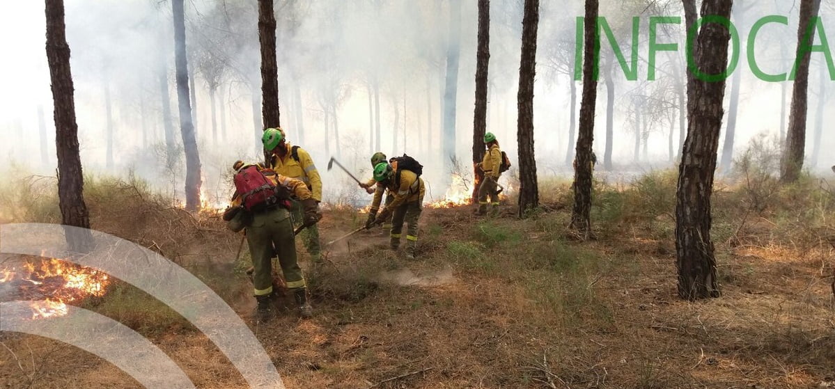 Bomberos del Infoca trabajando esta tarde en Moguer