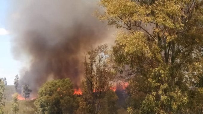 incendio beas 1