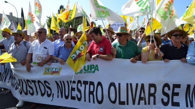 manifestación olivar