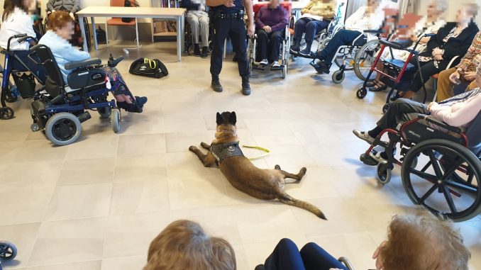 Unidad Canina en Orpea (3)